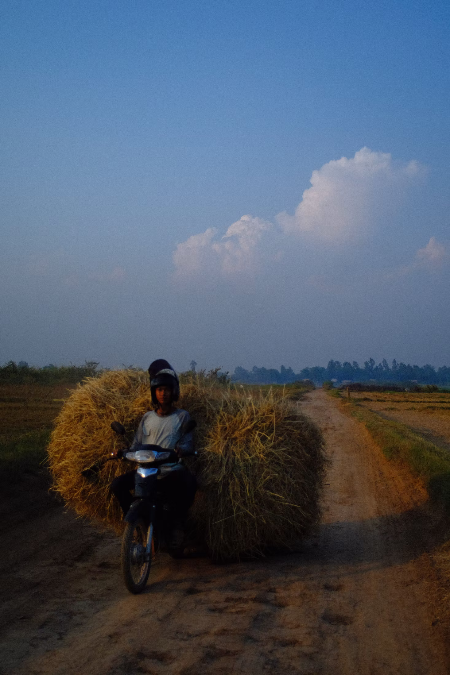 COUNTRY
