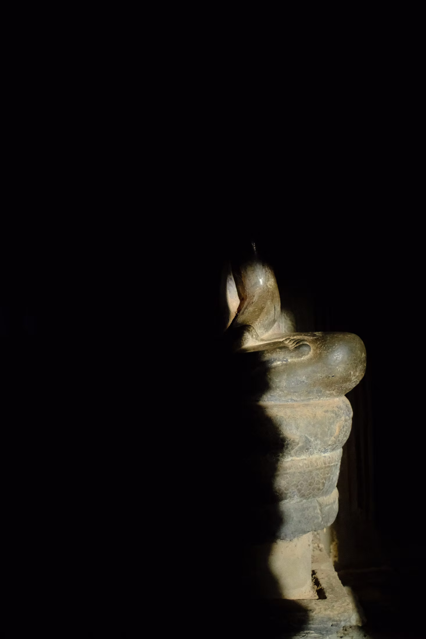 ANGKOR photograph 1