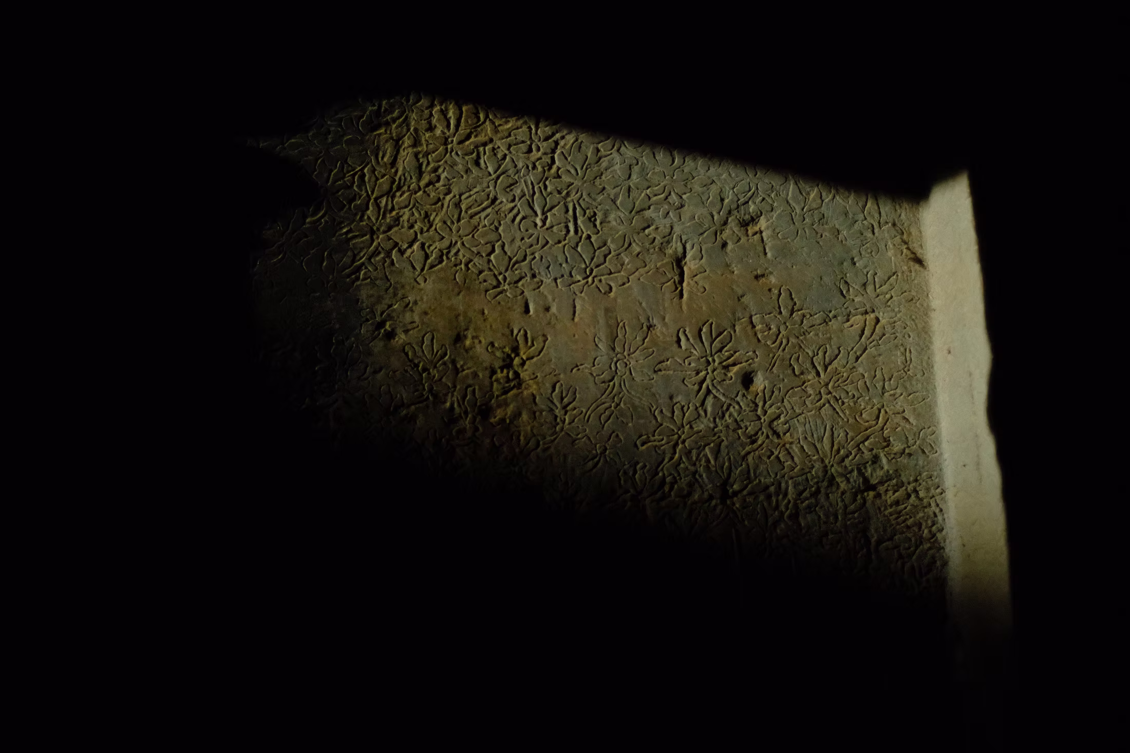 ANGKOR photograph 6