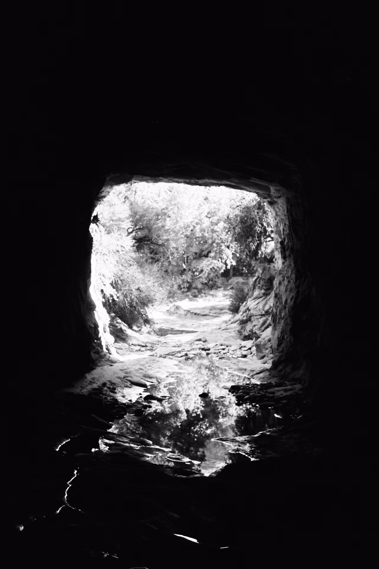 USA photograph 26