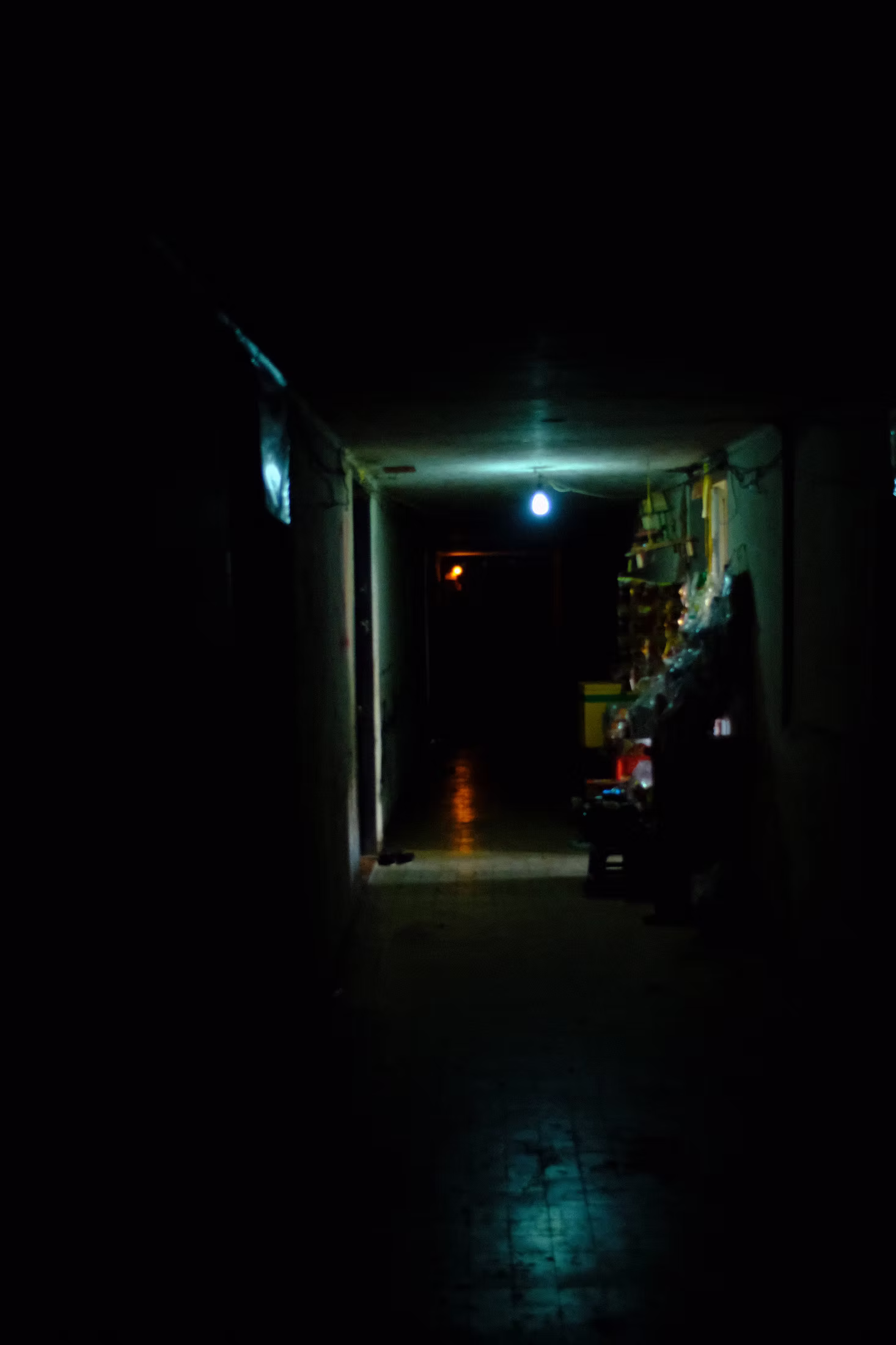 MISCELLANEOUS photograph 33
